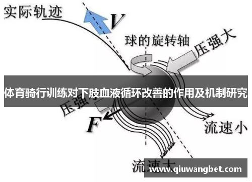 体育骑行训练对下肢血液循环改善的作用及机制研究